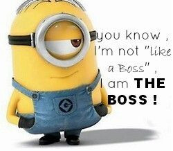 am the boss!!