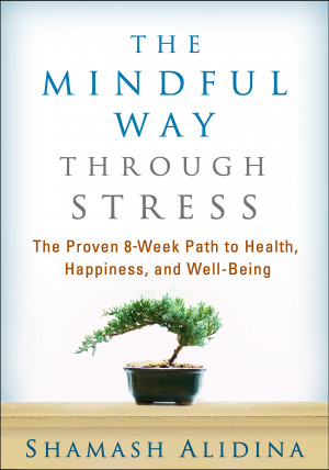 The Mindful Way Through Stress: An Interview with Shamash Alidina