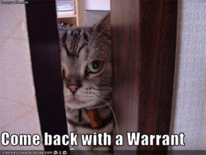 warrant.jpeg