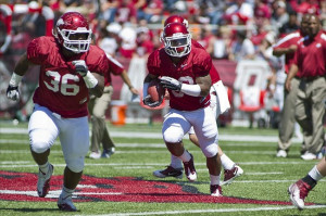 Fayetteville, AR, USA; Arkansas Razorback running back Dennis Johnson ...