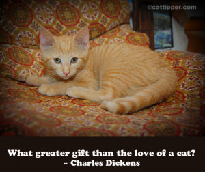 quote-cat-dickens