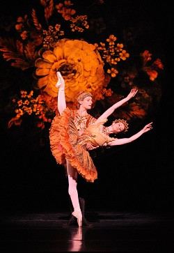 Australian Ballet's 'Nutcracker' Lucinda Dunn and Paul Knobloch