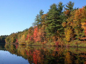 Walden Pond. Image courtesy of rodinpresta (flickr.com)