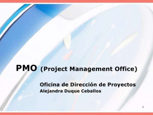 Pmo project management office