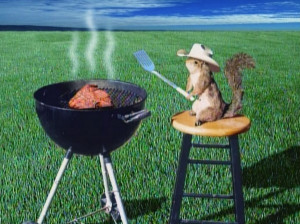 Squirrle cookout