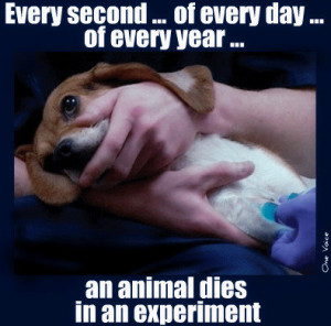 Scientist On Animal Testing Quotes. QuotesGram