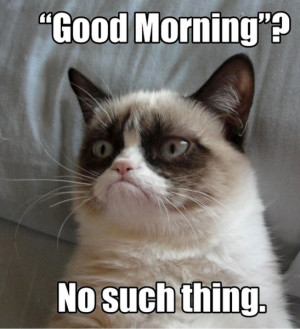 Grumpy Cat Meme