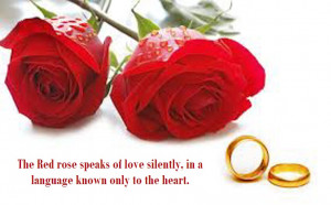 Latest Most Beautiful Red Rose Pictures with Romantic Love Quotes 2013