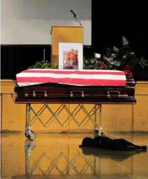 just a dog loyal dog guards serviceman s coffin the sun news the dog ...