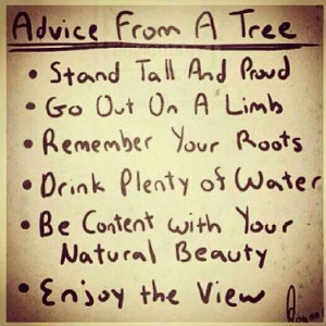 Advice from a tree.