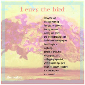 envy the bird