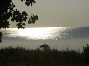 funny escanaba in da moonlight quotes