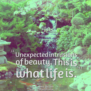 Quotes Picture: unexpected intrusions of beauty this is what life is