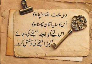 Beautiful Quote In Urdu