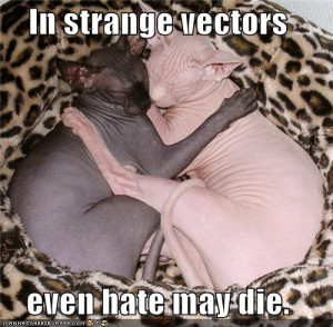 Finally, sphynx cats are sometimes used to indicate a dimension where ...