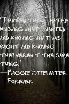 Maggie Stiefvater, Forever More