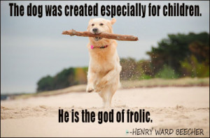 Dogs quote