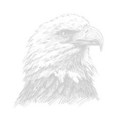 few quotes worth noting :