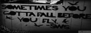 Sometimes you gotta fall before you fly.