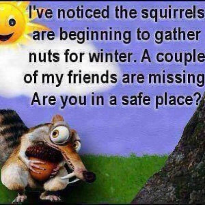 ... nuts for winter.A couple of my friends are missing. Are you in a safe