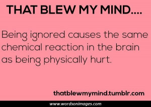 added by picture quotes posted under more quotes report image