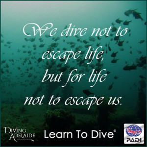 We dive not to escape life, but for life not to escape us! More