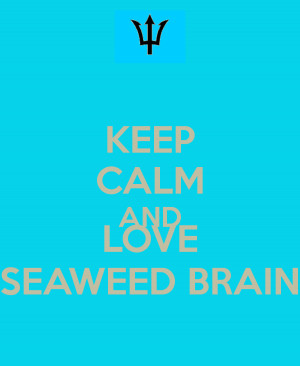 Seaweed Brain Keep Calm and Ship