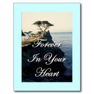 Loss of a cat quotes sympathy wallpapers