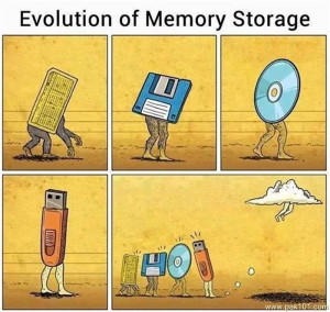 Evolution Of Memory Storage