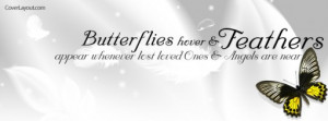 Butterflies Hover and Feathers Appear Facebook Cover