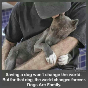 Pinned by Laura Hutchinson