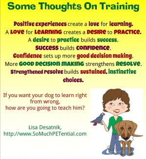 negative-reinforcement-examples-dog-training Clinic