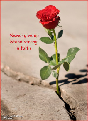 faith, flower, give up, hope, inspiration, lyrics, motivation, never ...