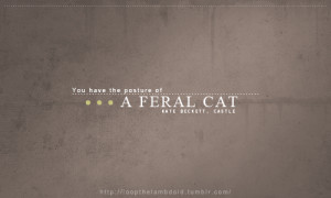 You have the posture of a feral cat.