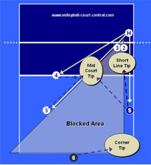 volleyball base defense areas of responsibility for a left side attack