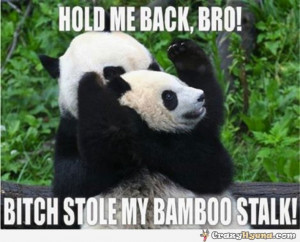 Funny Panda Captions Angry-baby-panda-funny.jpg
