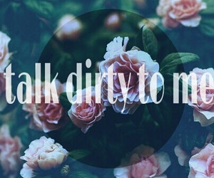 talk dirty to me
