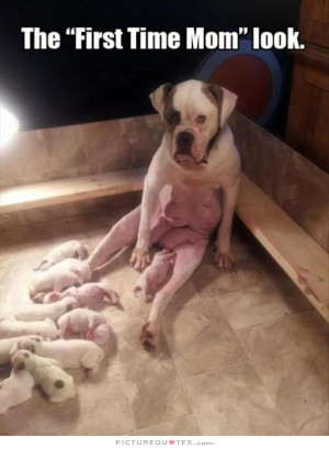 Mother Quotes Mom Quotes Funny Parenting Quotes