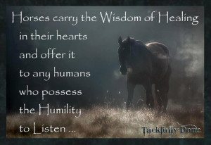 The wisdom of horses