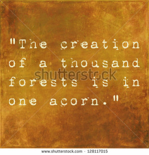 Inspirational quote by Ralph Waldo Emerson on earthy brown background