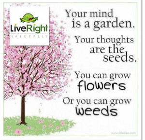 Your mind is a garden. Your thoughts are the seeds. You can grow ...