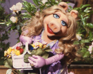 Miss Piggy, The Diva Code