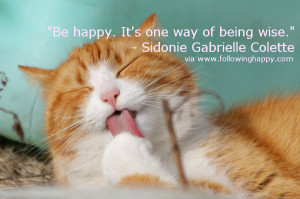 happy cat quote