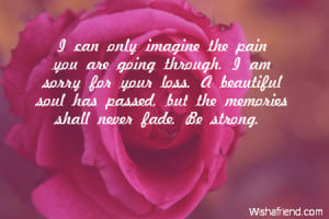 only imagine the pain you are going through. I am sorry for your loss ...