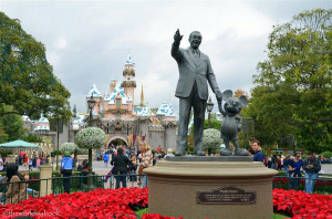 ... of red poinsettias surrounded the Walt Disney and Mickey statue