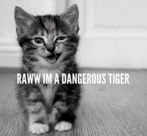 Raww_I_m_a_dangerous_tiger.jpeg