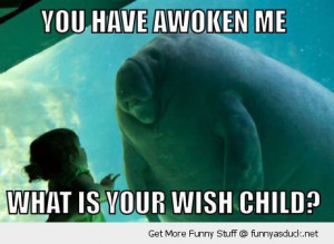 manatee aquarium kid girl talking awoken me what wish child animal ...