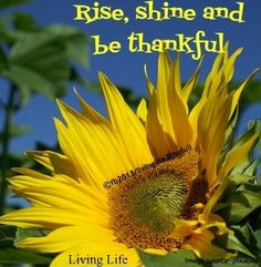 Rise, shine, and be thankful quote via Living Life on Facebook at www ...