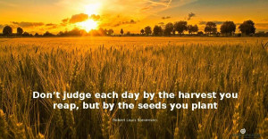 Quote of the day – “Don’t judge each day by the harvest you reap ...