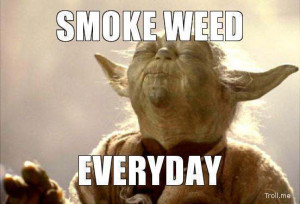 SMOKE WEED EVERYDAY QUOTES TUMBLR